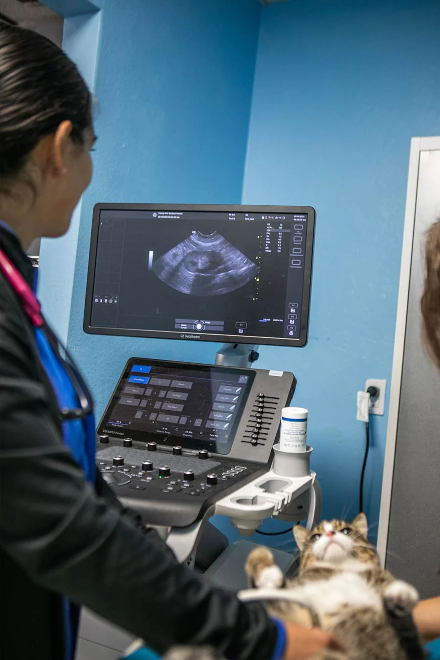 Animal Diagnostics Vet Fort Lauderdale Florida