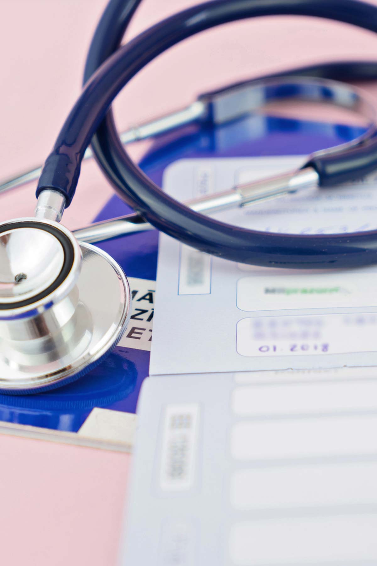 Fort Lauderdale Dog and Cat Vet Health Certificates