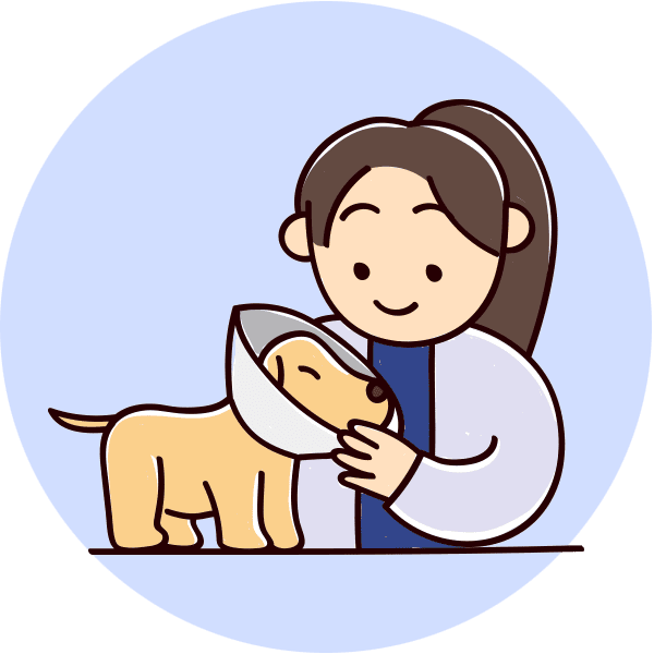 Veterinary Wellness Care Fort Lauderdale