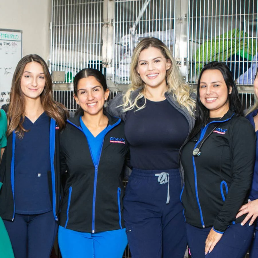 Fort Lauderdale Veterinary Care Team